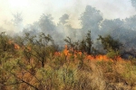  آتش‌سوزی منطقه «گاچال» لرستان